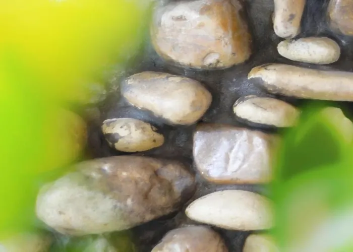 Aria Di Mare - Bed & Brunch In Centro A Hotel Riccione