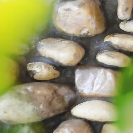 Aria Di Mare - Bed & Brunch In Centro A Ξενοδοχείο Ριτσιόνε